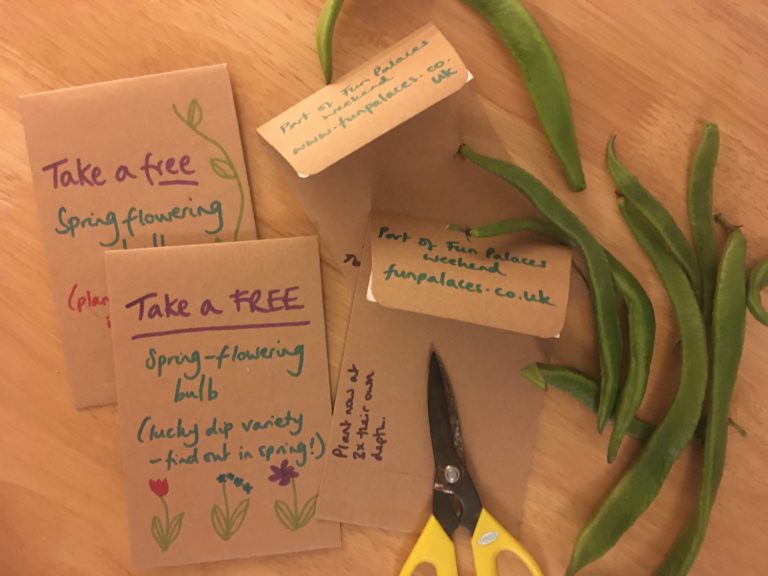 Tiny Revolutions: Organise a Seed Swap